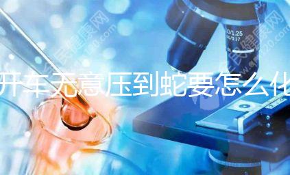 開車無意壓到蛇要怎么化解進(jìn)來瞧，要不要報警一目了然