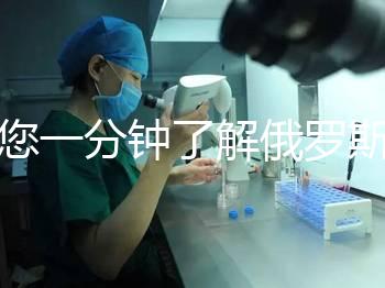 帶您一分鐘了解俄羅斯試管中心的費(fèi)用明細(xì),快速收集!