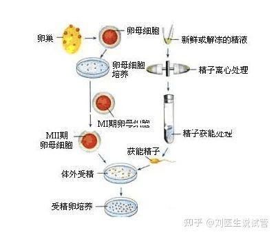 選對(duì)成功一半！來看看海南哪家醫(yī)院能做三代試管嬰兒