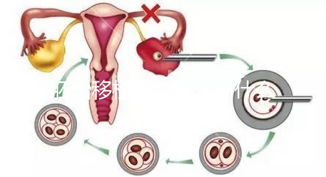 胚胎移植前，醫(yī)生為什么強(qiáng)調(diào)內(nèi)膜厚度要達(dá)到8-12mm？