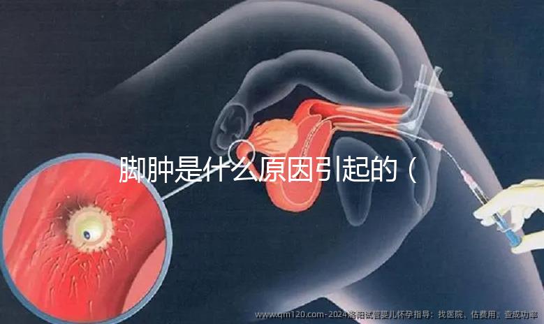 腳腫是什么原因引起的（腳腫是什么原因引起的？女性）