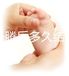 西瓜長騰后多久結西瓜（西瓜多久長藤）