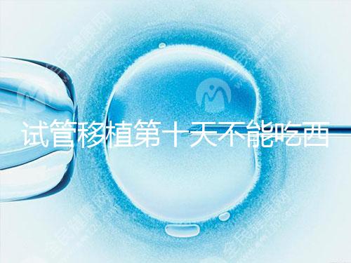 試管移植第十天不能吃西瓜！影響胚胎發育可不是玩笑話