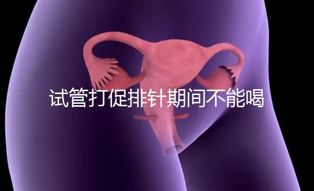 試管打促排針期間不能喝酵素減肥？把控好時間就行