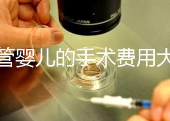 試管嬰兒的手術(shù)費(fèi)用大概是多少？