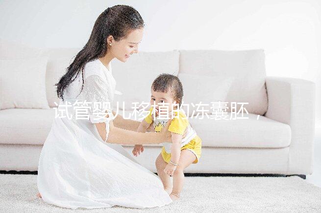 試管嬰兒移植的凍囊胚，成功率有多高？