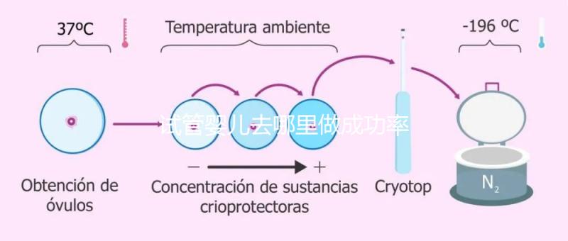 試管嬰兒去哪里做成功率高？建議：正規試管醫院醫療機構