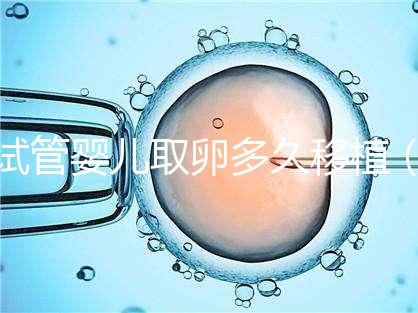 試管嬰兒取卵多久移植（試管嬰兒取卵多久移植最好）