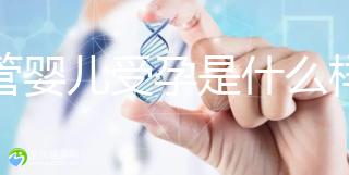 試管嬰兒受孕是什么樣的原理呢?