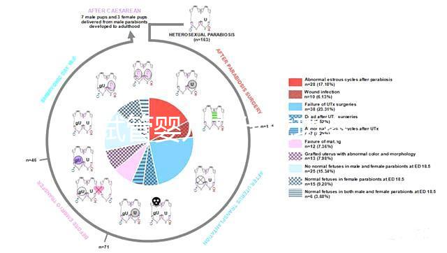 試管嬰兒二代成功率