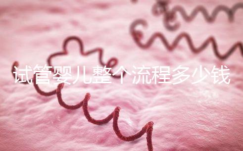 試管嬰兒整個(gè)流程多少錢(qián)(試管嬰兒整個(gè)流程多少錢(qián)啊)