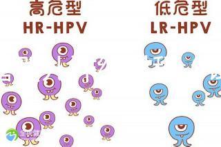 試管嬰兒詳細過程(試管嬰兒詳細過程小說)