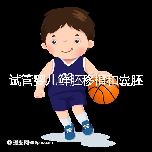 試管嬰兒鮮胚移植和囊胚移植的區(qū)別!哪個(gè)成功率高看完便知曉