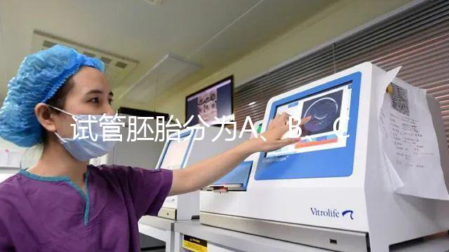 試管胚胎分為A、B、C、D四級(jí)，那么每一級(jí)分別代表什么？