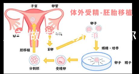 赴美做試管嬰兒前，教你如何攻破最難的“醫(yī)療簽證”！