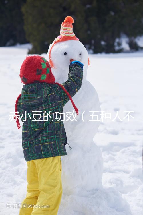 赤小豆的功效（五種人不宜吃赤小豆）