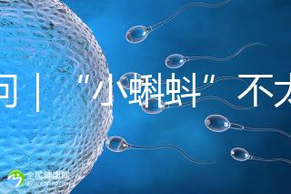 追問｜“小蝌蚪”不太給力，一代二代試管嬰兒技術(shù)哪個(gè)強(qiáng)？