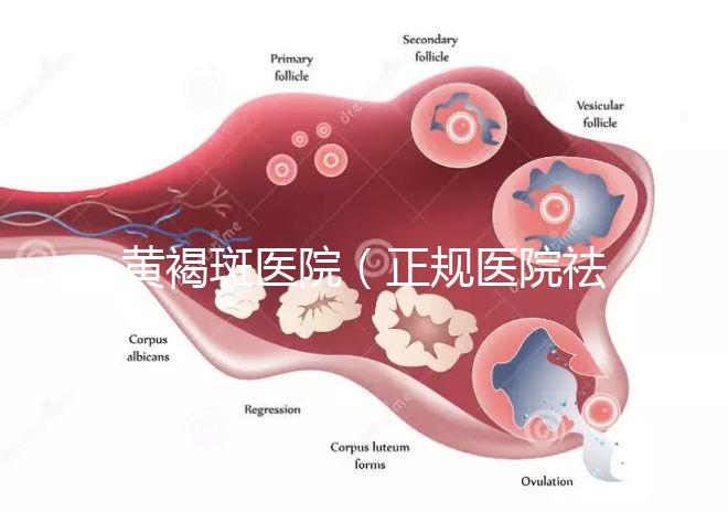 黃褐斑醫(yī)院（正規(guī)醫(yī)院祛斑大概要多少錢）