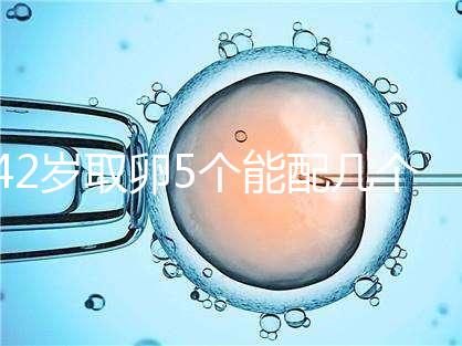 42歲取卵5個(gè)能配幾個(gè)胚胎難說(shuō)，只有2個(gè)許是技術(shù)差導(dǎo)致