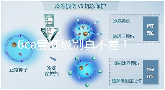 6ca囊胚級別真不差！嘗試移植才有機會,有信心才能“好孕”