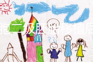 9細胞二級胚胎移植后8天沒感覺，成功率依然很高