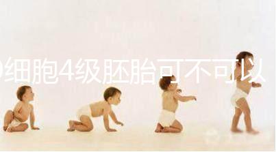 9細胞4級胚胎可不可以移植，看完質(zhì)量差不差再下定論