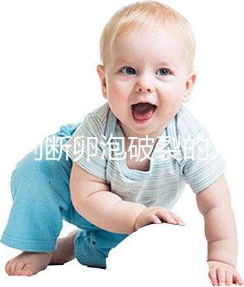 b超判斷卵泡破裂的方法都out了!彩超數(shù)據(jù)顯示更直觀