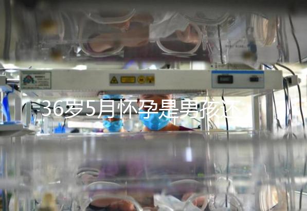 36歲5月懷孕是男孩還是女孩？這些生男生女特征可以看看