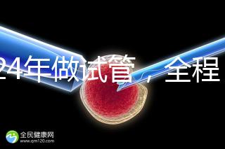 2024年做試管，全程下來要多少錢？