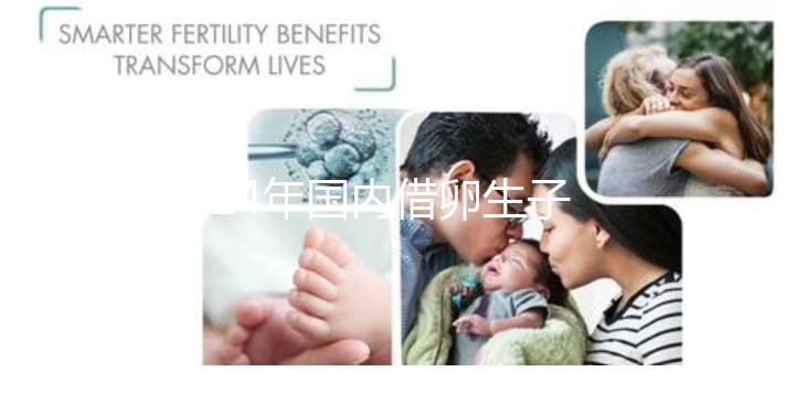 2024年國內借卵生子私立醫院哪里最好？上海集愛排名前三