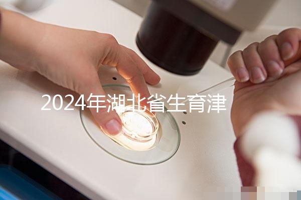2024年湖北省生育津貼政策附武漢、黃石超詳細流程