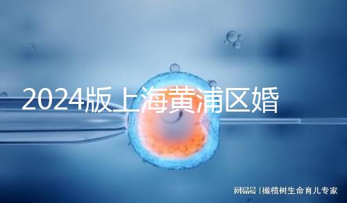 2024版上海黃浦區(qū)婚檢預約指南，包括詳細的流程和費用